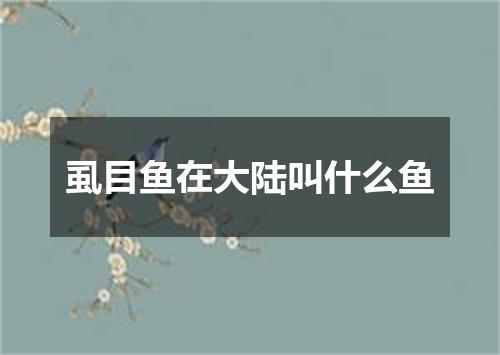 虱目鱼在大陆叫什么鱼