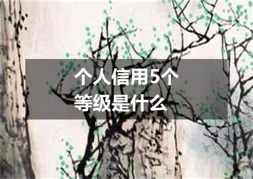 个人信用5个等级是什么