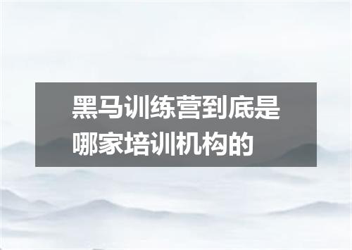黑马训练营到底是哪家培训机构的