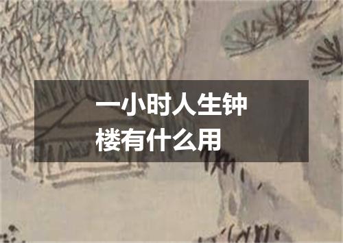 一小时人生钟楼有什么用