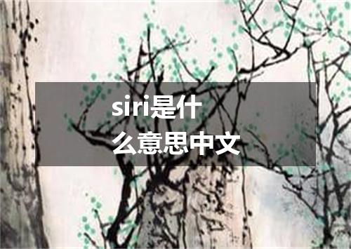 siri是什么意思中文