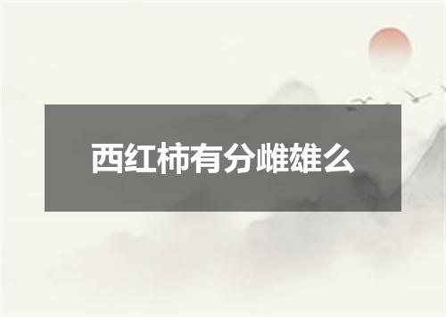 西红柿有分雌雄么