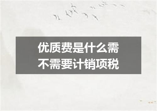 优质费是什么需不需要计销项税
