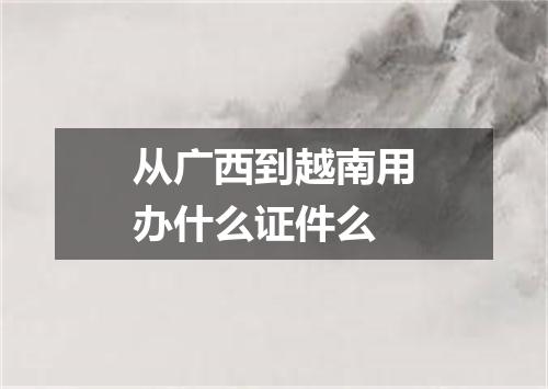 从广西到越南用办什么证件么