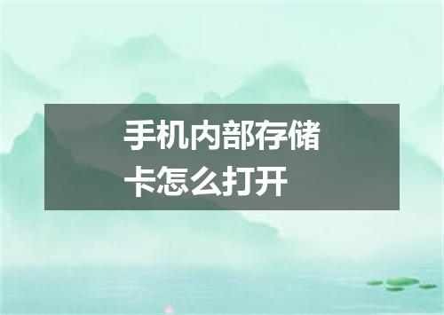 手机内部存储卡怎么打开