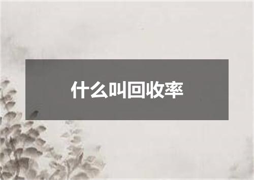 什么叫回收率