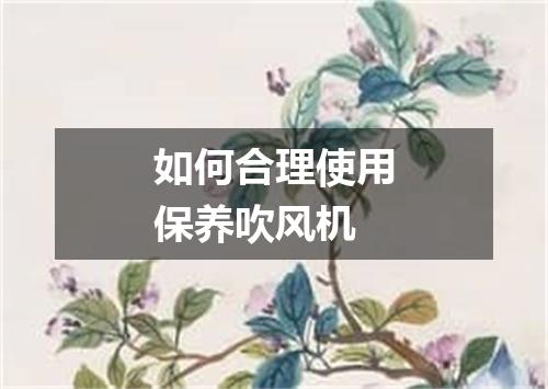 如何合理使用保养吹风机