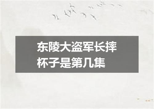 东陵大盗军长摔杯子是第几集