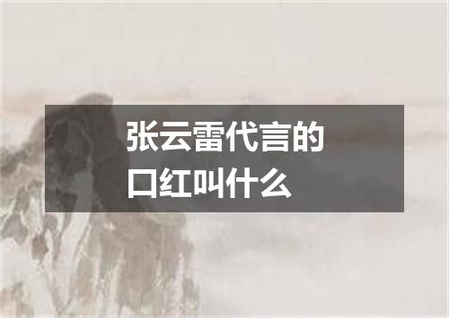 张云雷代言的口红叫什么