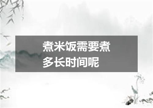 煮米饭需要煮多长时间呢