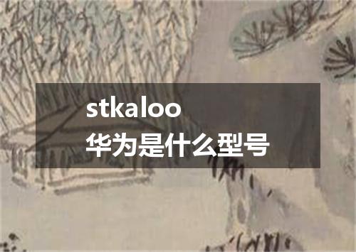 stkaloo华为是什么型号