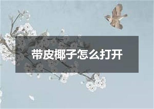带皮椰子怎么打开