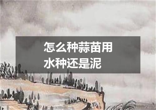 怎么种蒜苗用水种还是泥