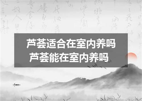 芦荟适合在室内养吗 芦荟能在室内养吗
