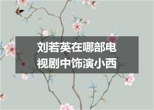 刘若英在哪部电视剧中饰演小西
