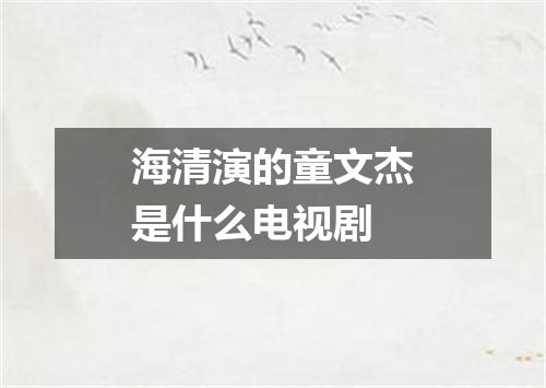 海清演的童文杰是什么电视剧