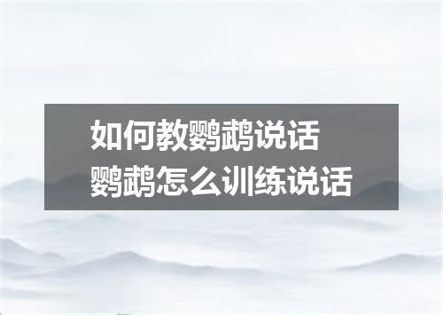 如何教鹦鹉说话 鹦鹉怎么训练说话