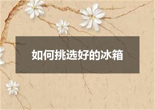 如何挑选好的冰箱