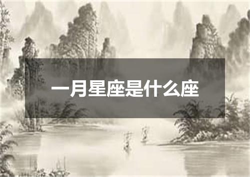 一月星座是什么座