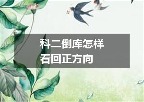 科二倒库怎样看回正方向