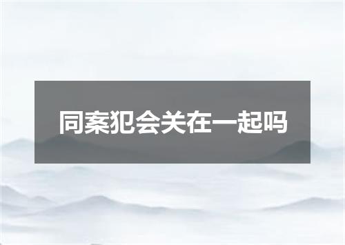 同案犯会关在一起吗