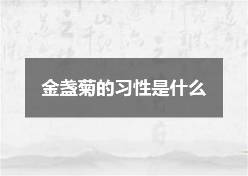 金盏菊的习性是什么
