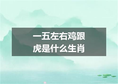 一五左右鸡跟虎是什么生肖