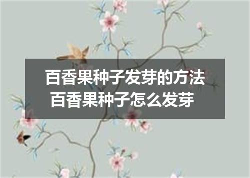 百香果种子发芽的方法 百香果种子怎么发芽