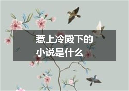 惹上冷殿下的小说是什么