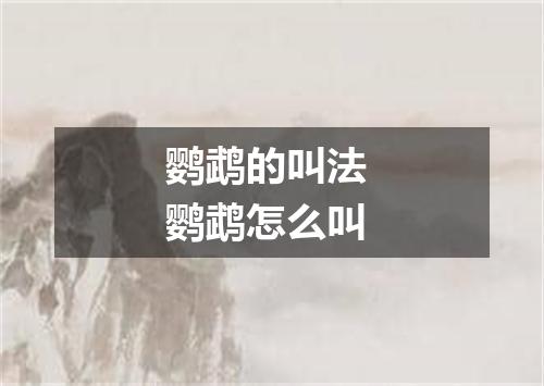 鹦鹉的叫法 鹦鹉怎么叫