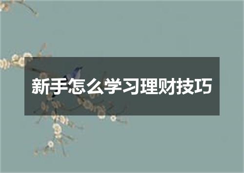 新手怎么学习理财技巧