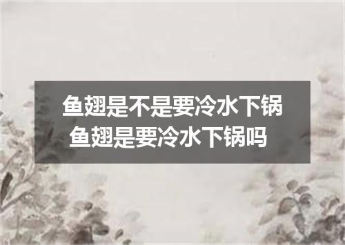 鱼翅是不是要冷水下锅 鱼翅是要冷水下锅吗