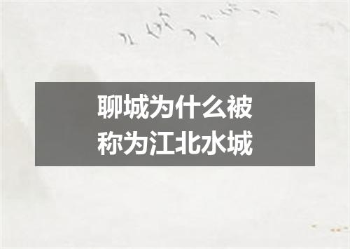聊城为什么被称为江北水城
