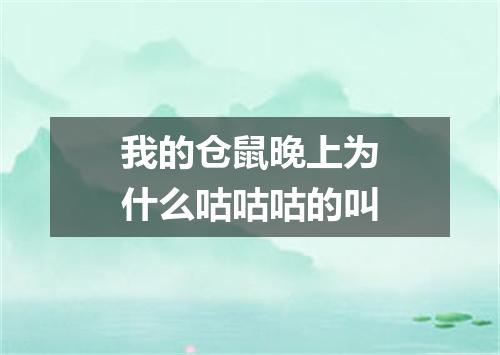 我的仓鼠晚上为什么咕咕咕的叫