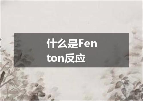 什么是Fenton反应