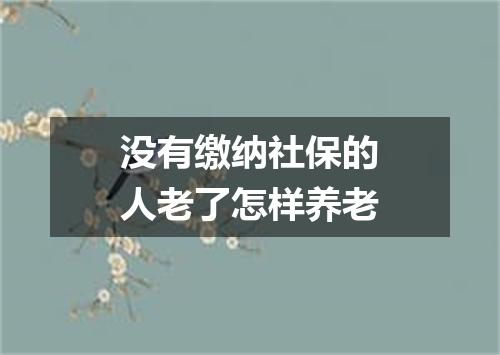 没有缴纳社保的人老了怎样养老