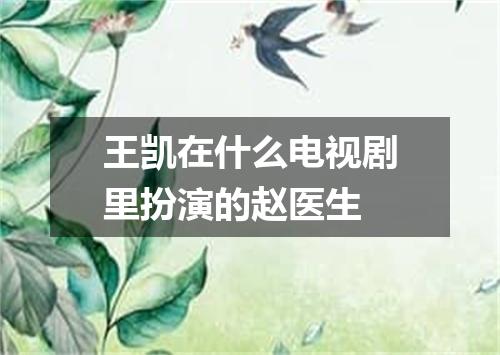 王凯在什么电视剧里扮演的赵医生