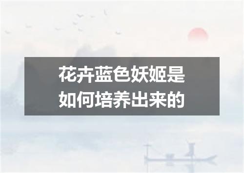 花卉蓝色妖姬是如何培养出来的