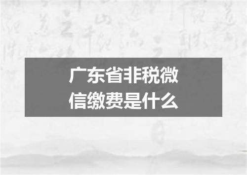 广东省非税微信缴费是什么
