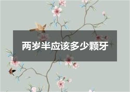 两岁半应该多少颗牙