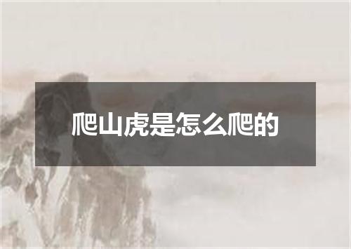 爬山虎是怎么爬的