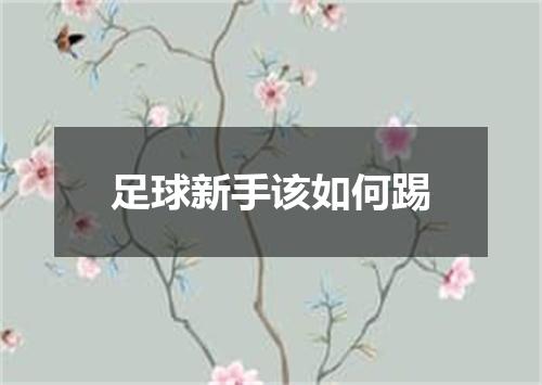 足球新手该如何踢