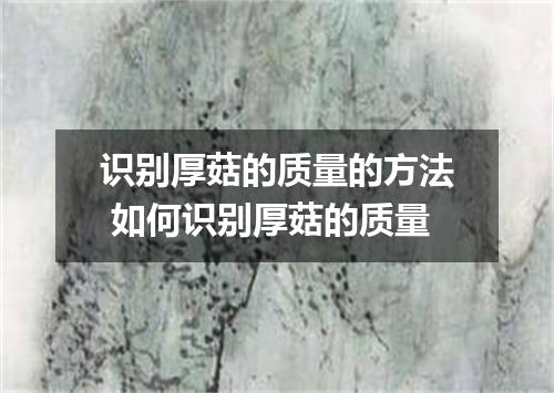 识别厚菇的质量的方法 如何识别厚菇的质量