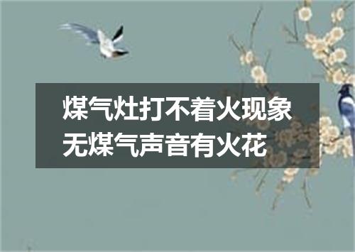 煤气灶打不着火现象无煤气声音有火花