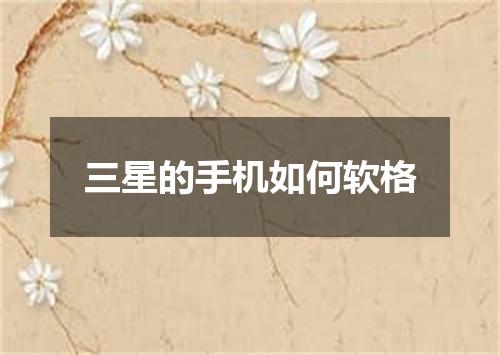 三星的手机如何软格