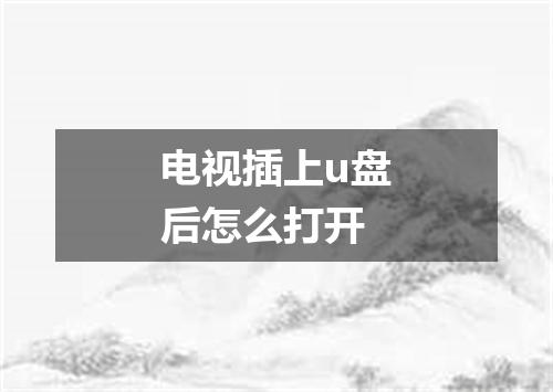 电视插上u盘后怎么打开