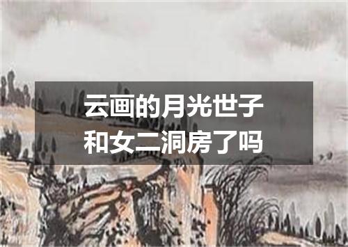 云画的月光世子和女二洞房了吗