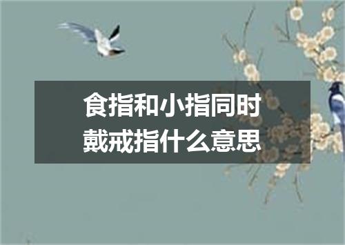 食指和小指同时戴戒指什么意思