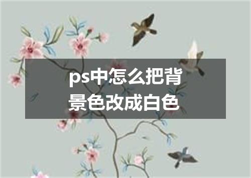 ps中怎么把背景色改成白色