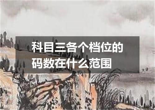 科目三各个档位的码数在什么范围